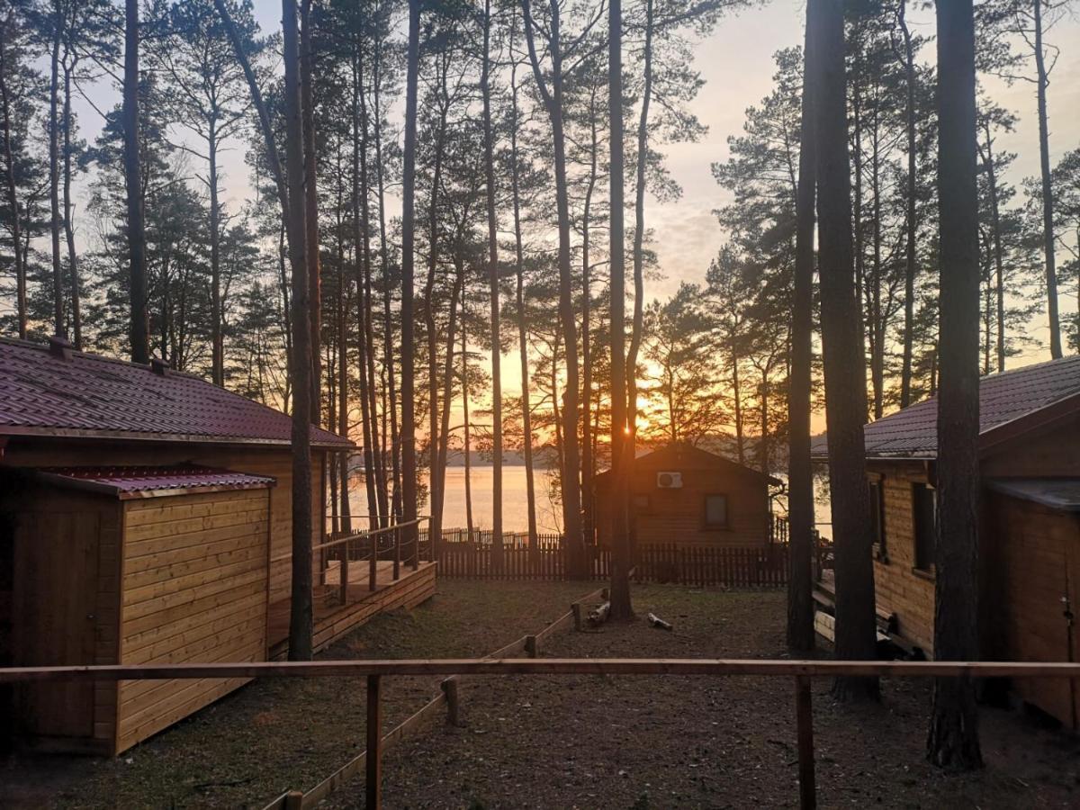 Dzik W Zagrodzie Otel Borsk Dış mekan fotoğraf
