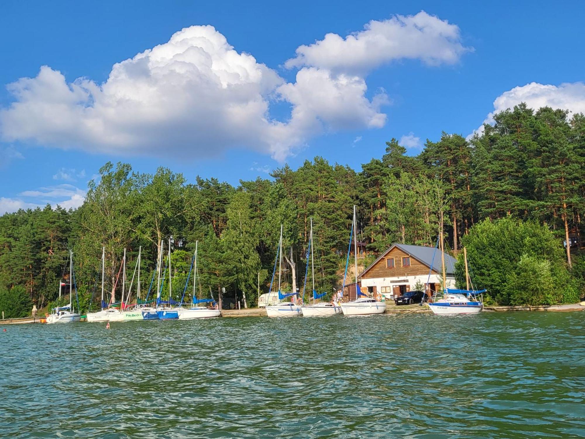 Dzik W Zagrodzie Otel Borsk Dış mekan fotoğraf