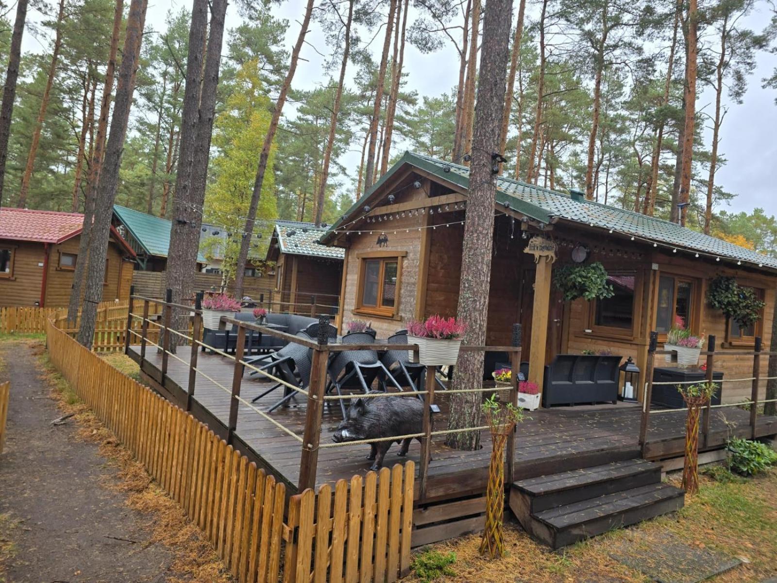 Dzik W Zagrodzie Otel Borsk Dış mekan fotoğraf