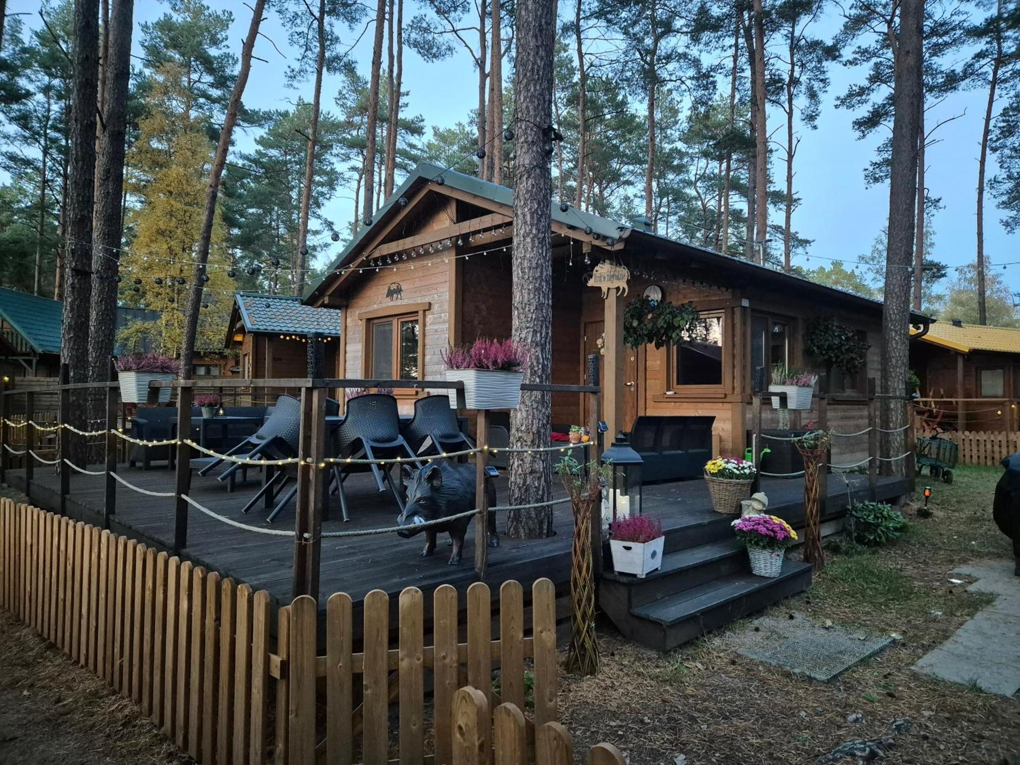 Dzik W Zagrodzie Otel Borsk Dış mekan fotoğraf
